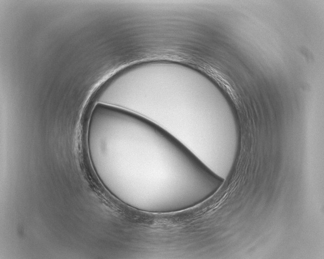 X0000116770388200912171135