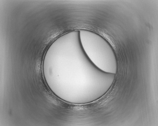X0000116770394200912171135