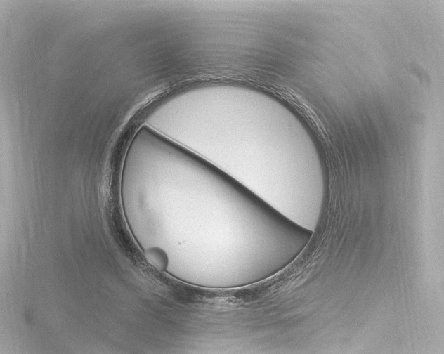 X0000116770396200912171135