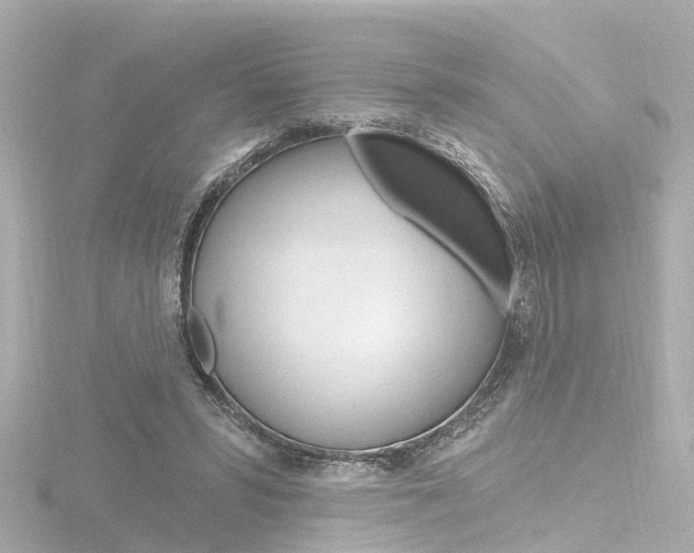 X0000116770399200912171135