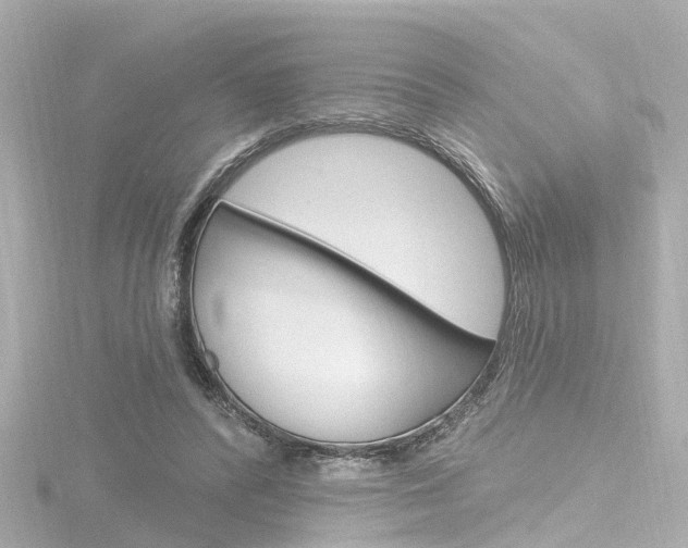 X0000116770400200912171135