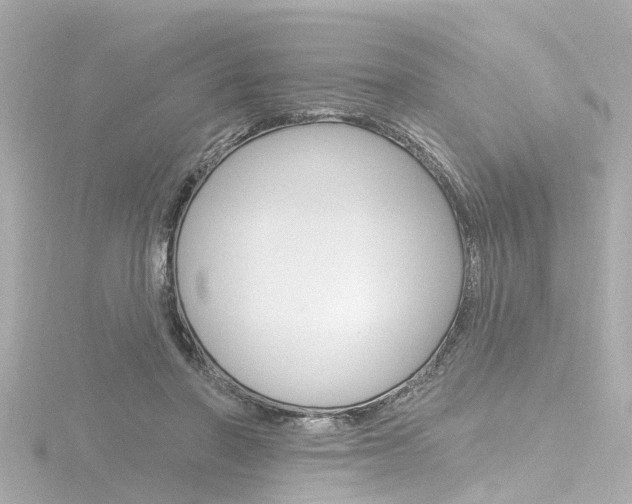 X0000116770406200912171135