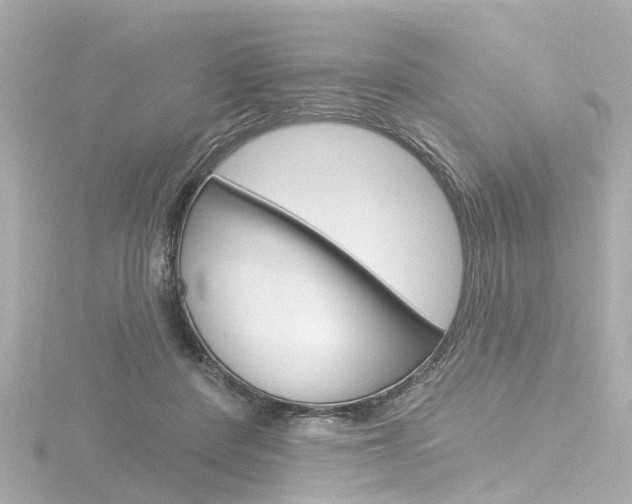 X0000116770408200912171135