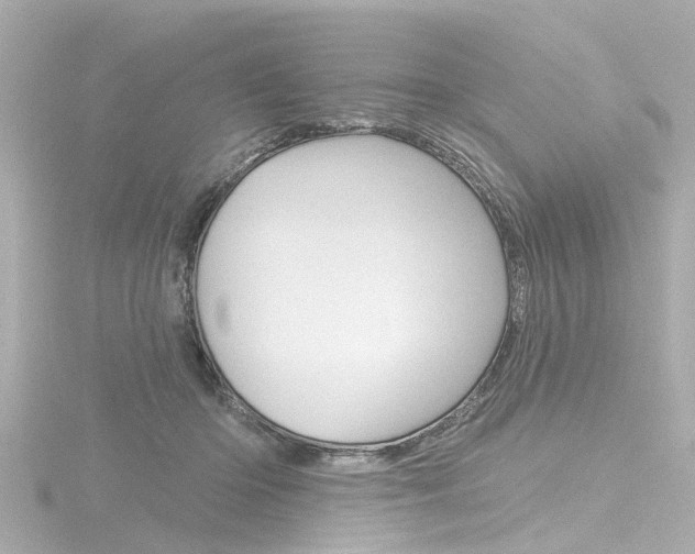 X0000116770414200912171135