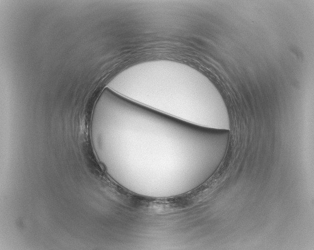 X0000116770420200912171135