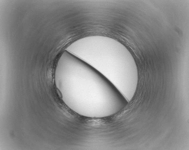X0000116770428200912171135