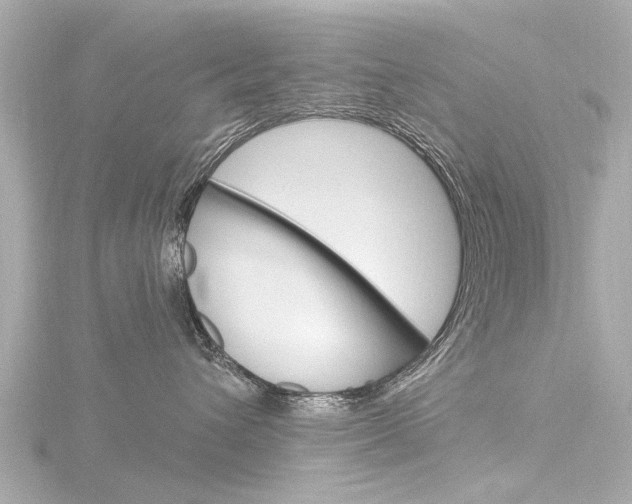 X0000116770432200912171134