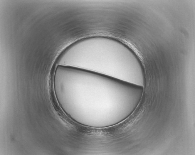 X0000116770439200912171134