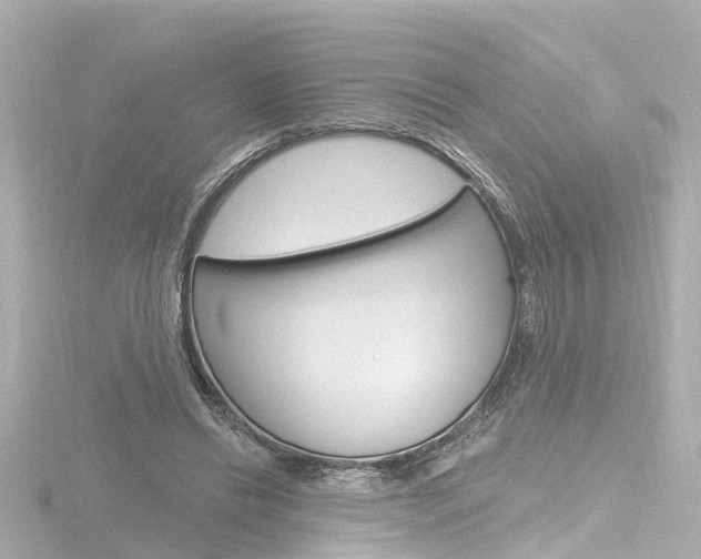 X0000116770446200912171134
