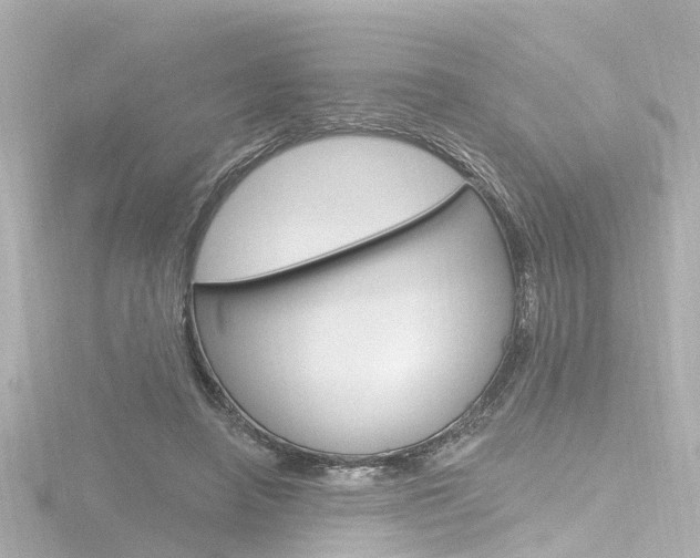 X0000116770450200912171134