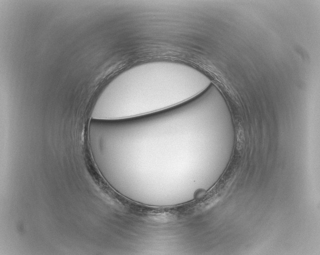 X0000116770454200912171134