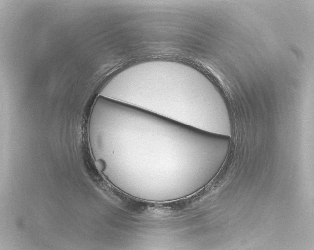 X0000116770455200912171134