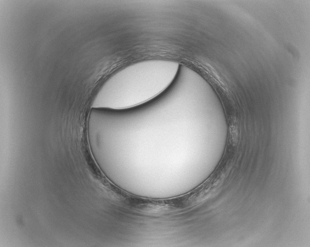 X0000116770458200912171134