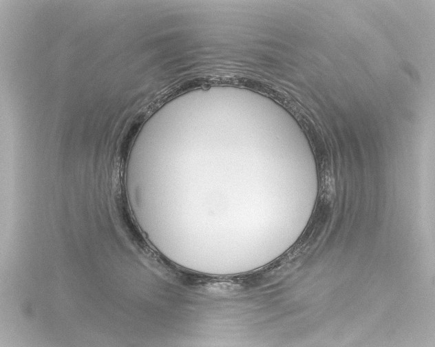 X0000116770468200912171134