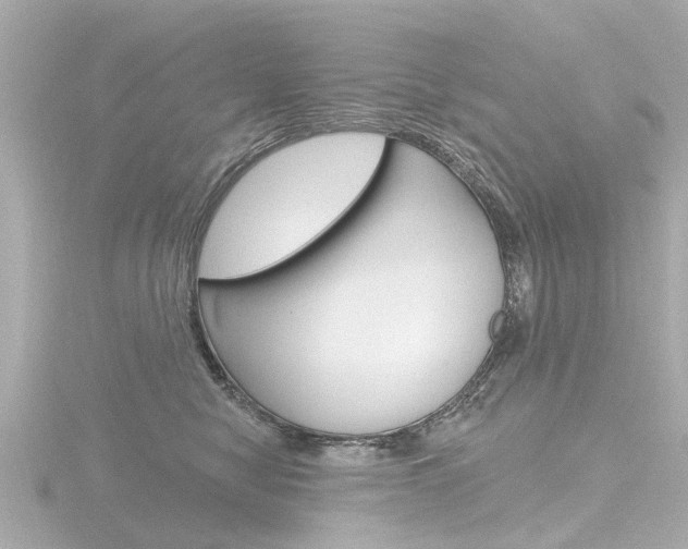 X0000116770470200912171134