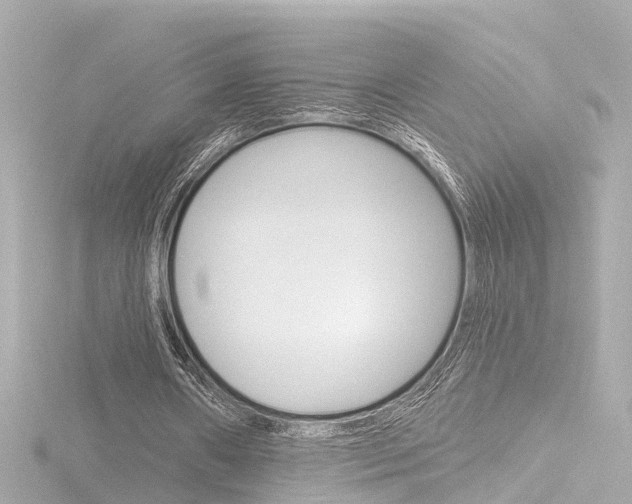 X0000116770482200912171134