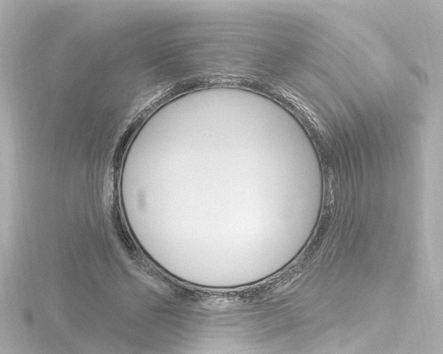 X0000116770494200912171134
