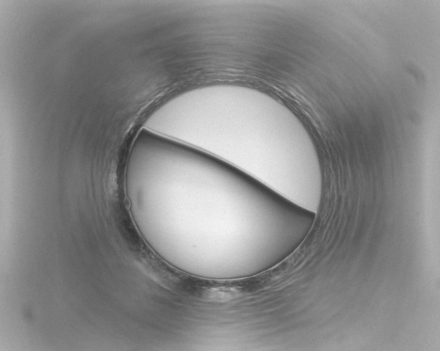 X0000116770508200912171133