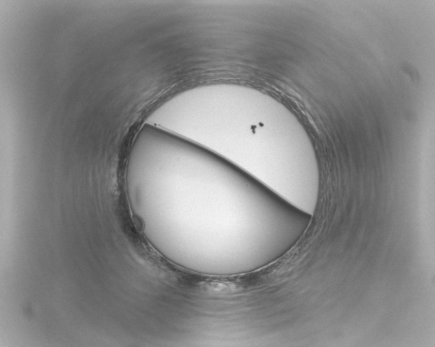 X0000116770512200912171133