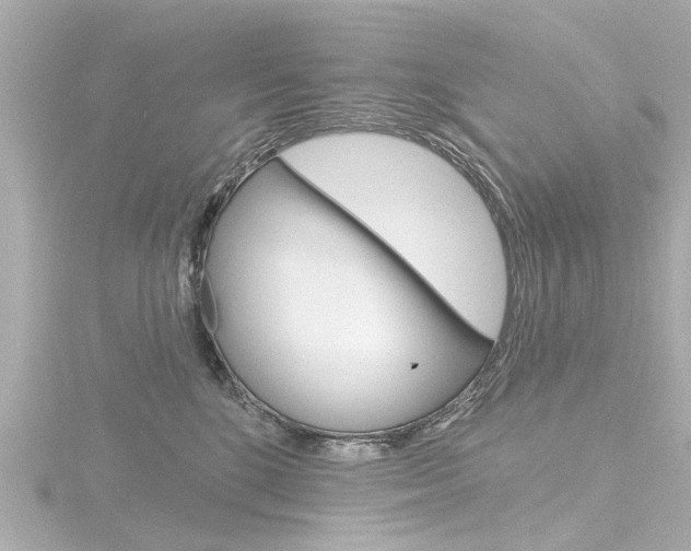 X0000116770520200912171133