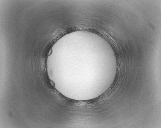 X0000116770523200912171133