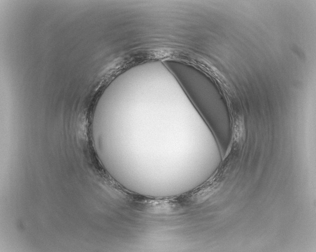 X0000116770524200912171133