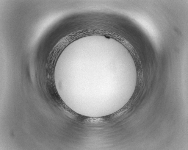 X0000116770526200912171133