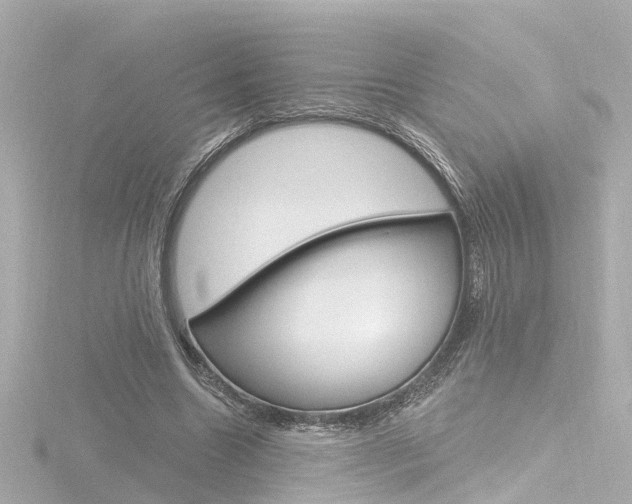 X0000116770538200912171133