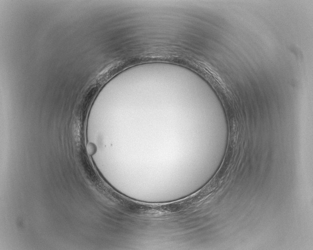 X0000116770542200912171133