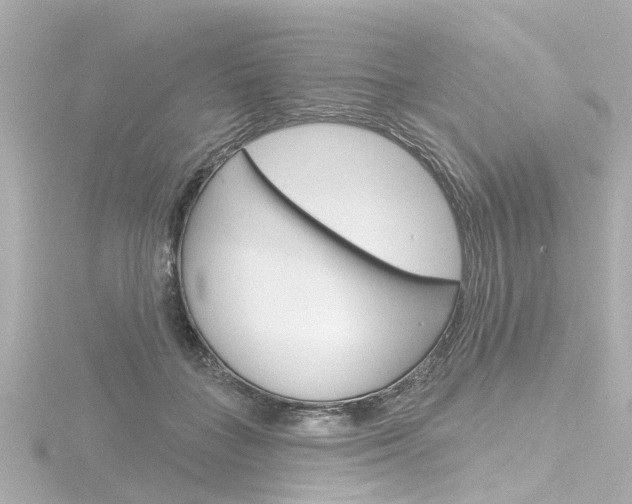 X0000116770555200912171133