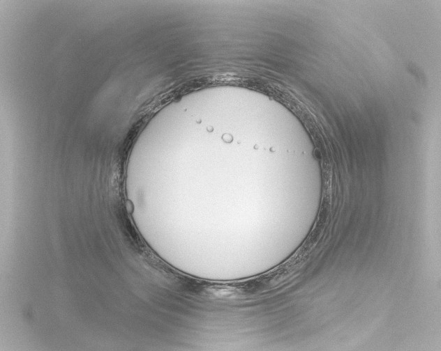 X0000116770557200912171133
