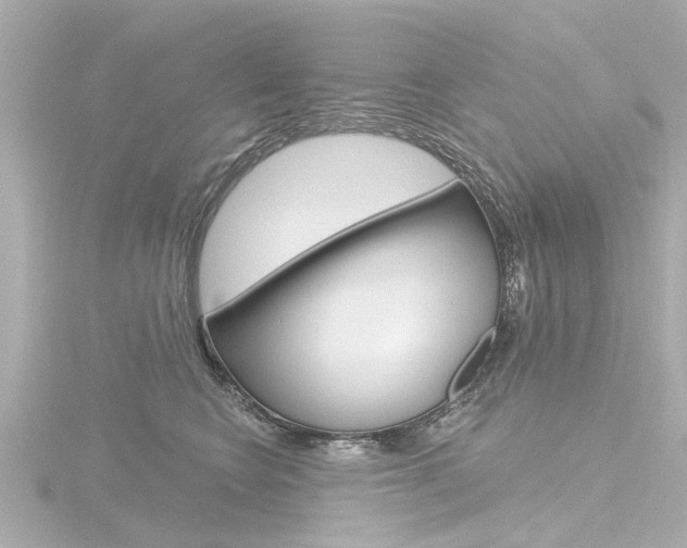 X0000116770566200912171133