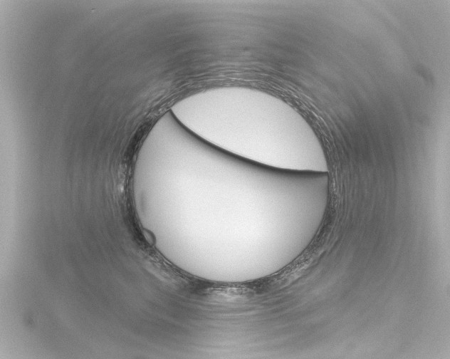 X0000116770567200912171133