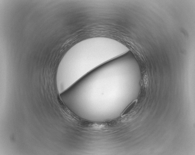 X0000116770570200912171133