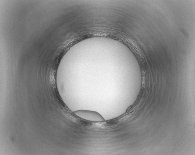 X0000116770573200912171133