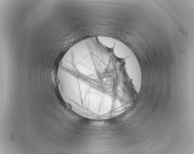 X0000116770575200912171133