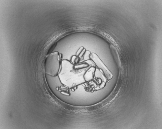 X0000116770577200912171133