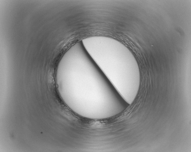 X0000116770616200912171132