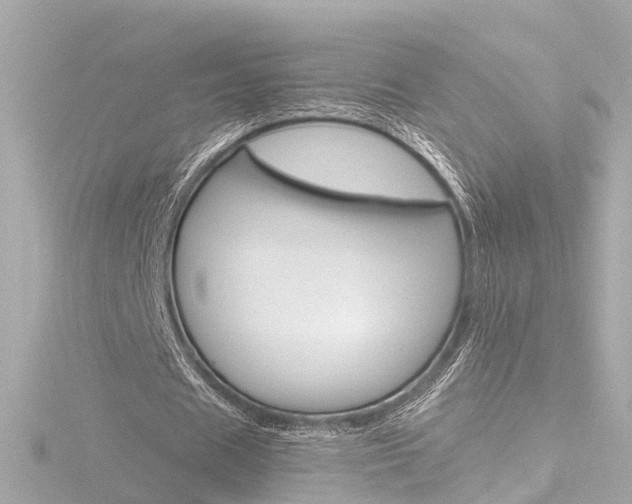 X0000116770625200912171131