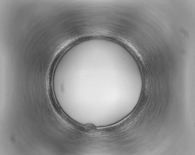 X0000116770629200912171131