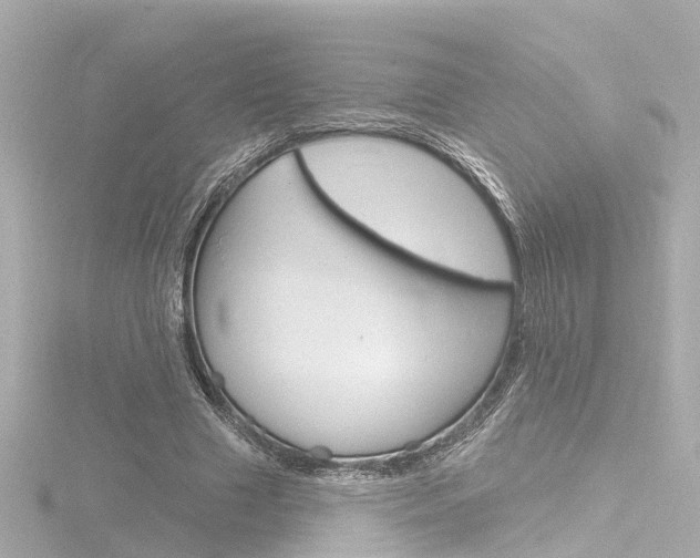 X0000116770633200912171131