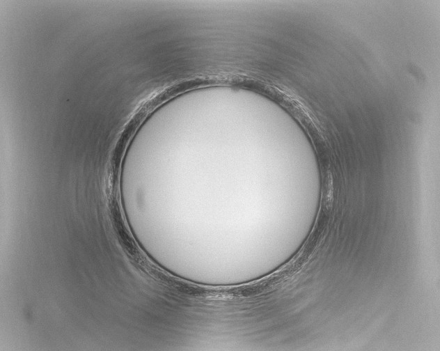 X0000116770636200912171131