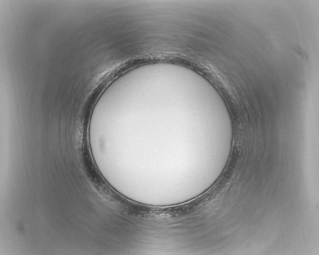 X0000116770640200912171131