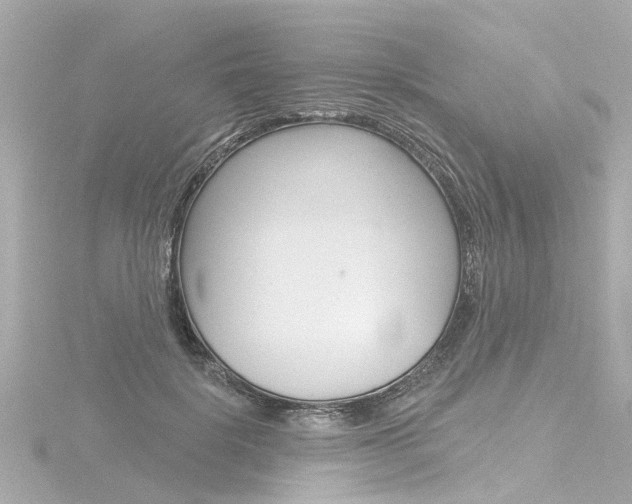 X0000116770652200912171132