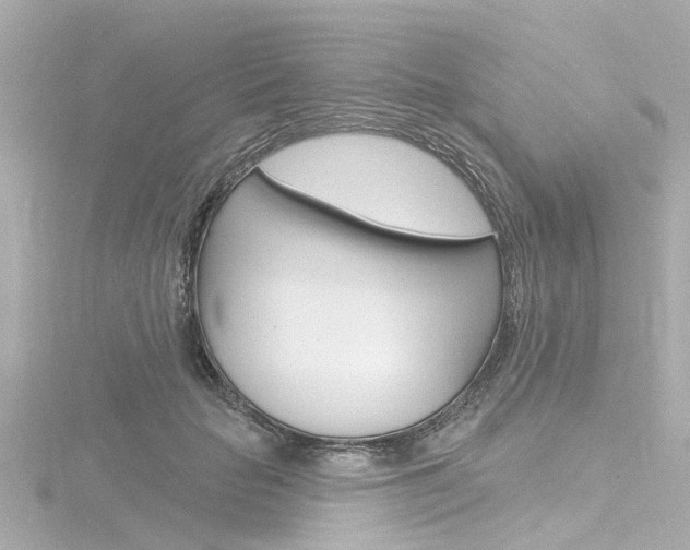 X0000116770653200912171132