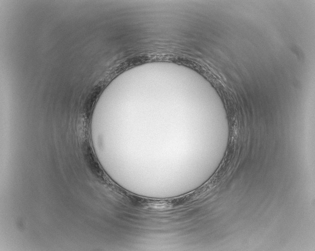 X0000116770659200912171132