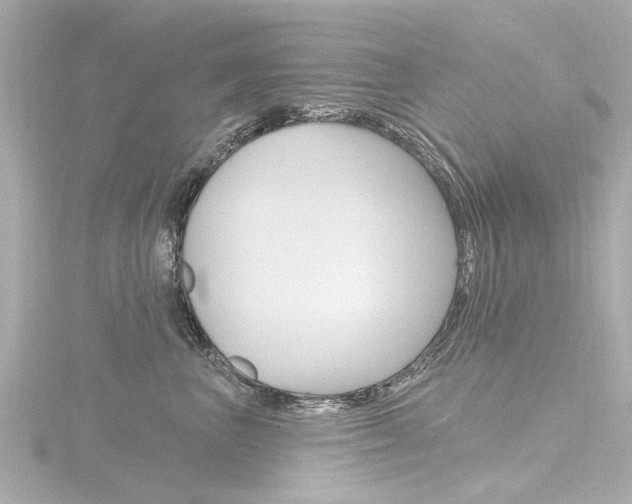 X0000116770667200912171132