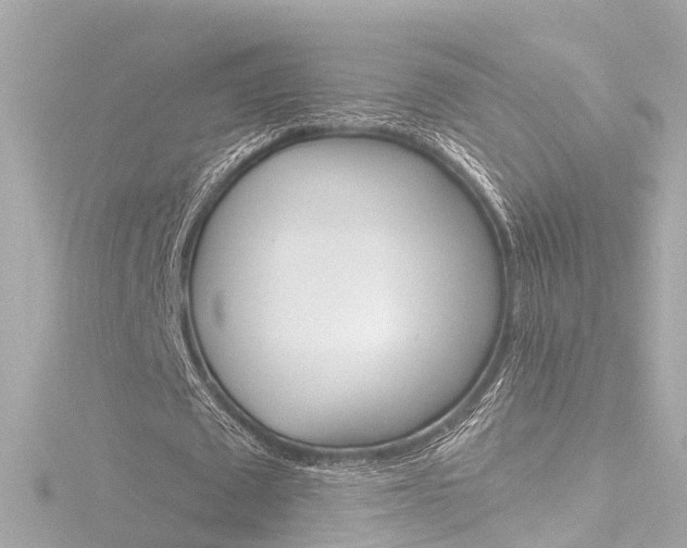 X0000116770673200912171131