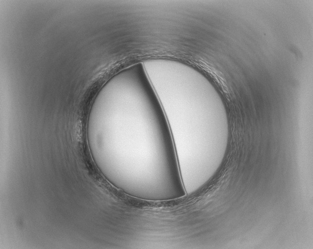 X0000116770689200912171131