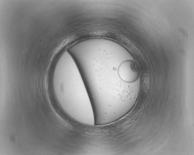 X0000116770734200912171130